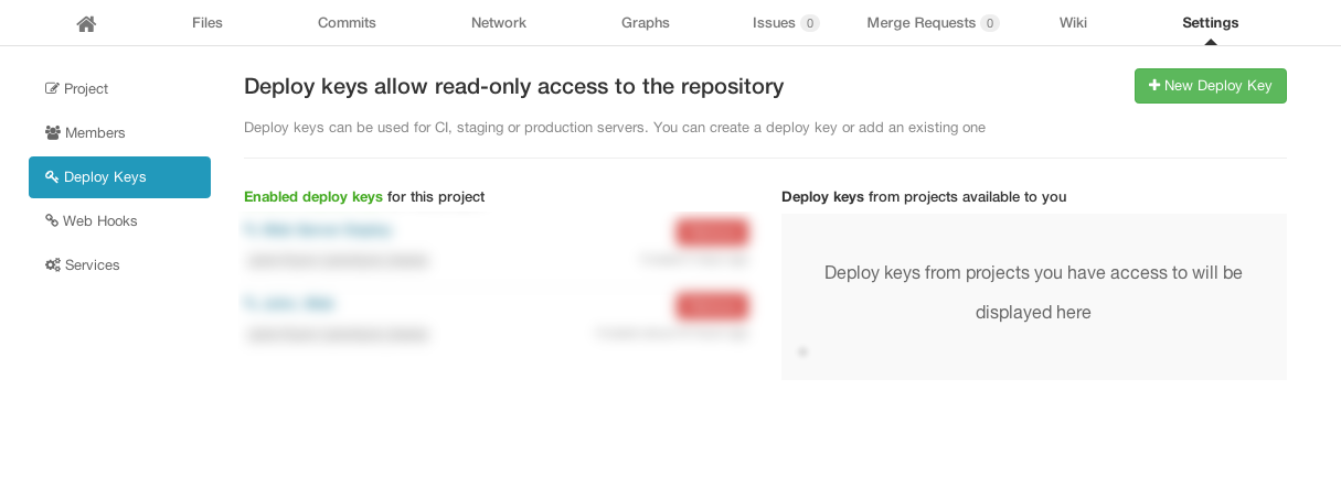 Add Deploy Key